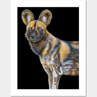 African Wild Dog Posters and Art